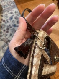 IMG_7397.jpeg