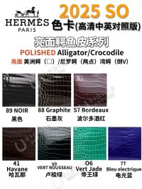亮面鳄鱼皮.jpg