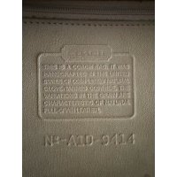 IMG_5515.jpeg