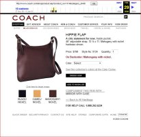 9134 Hippie Flap 2000 intro fall 99.JPG