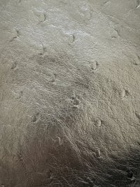 IMG_8095.jpeg