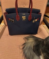 IMG_4337 (1).jpeg