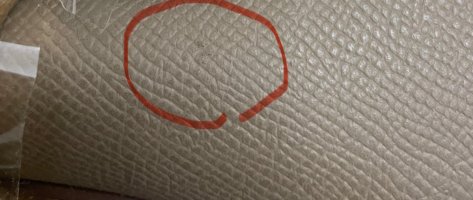 IMG_2146.jpeg