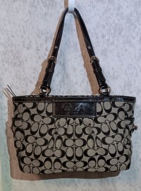 COACH F14281 Front.jpg