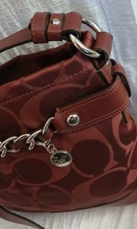 COACH F18862 2.jpg