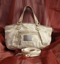 COACH 16295 Front 1.jpg