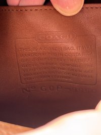 IMG_2737.jpeg