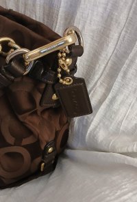 COACH 14147 2.jpg