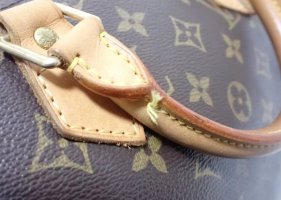 IMG_2502.jpeg