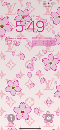 IMG_7333.png