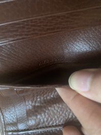 IMG_1169.jpeg