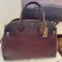 IMG_4549.jpeg