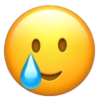 1742563635386.webp