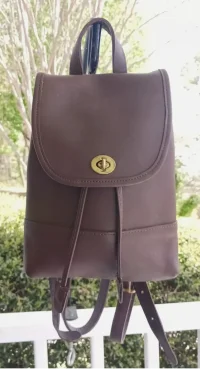 Authentic Designer Collections_AuthenticDesignerCollections fake coach D2J-9960 front.webp