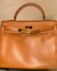 IMG_4769.webp