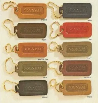 1981 and 1982_Spring colors.webp