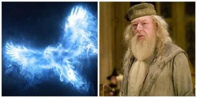 What's Your Patronus_.webp