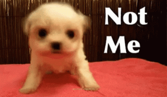 IMG_0599.gif
