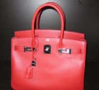 birkin 309.jpg