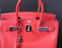 birkin 332.jpg