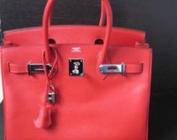 birkin 333.jpg