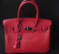 birkin 341.jpg