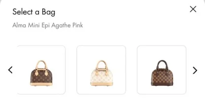 Bag Option 1.webp