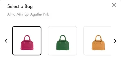 Bag Option 2.webp