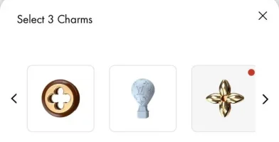 Charm Option 2.webp