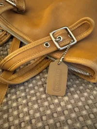little tan coach 7.webp