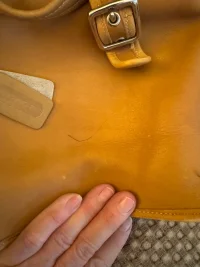 little tan coach 2.webp