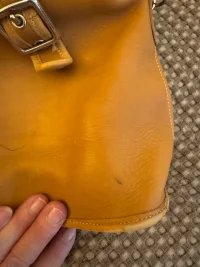 little tan coach 1.webp