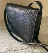 little lizard bag 2.webp
