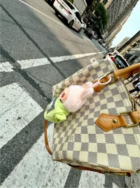 IMG_2569.webp