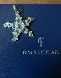 TSC Sea Star 1.webp