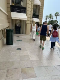 mont carlo.webp