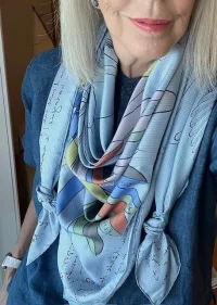 Pegase d'Hermès Chemise Wash .webp
