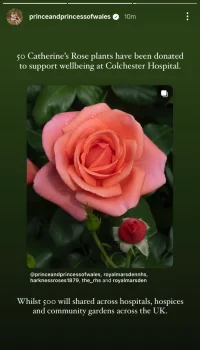 Screenshot_20250702_141204_Instagram.webp
