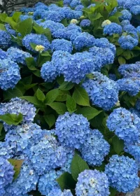 7.03.25 2.webp