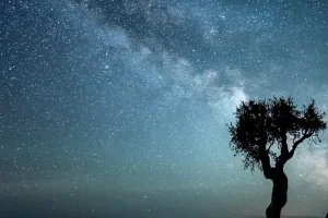 Stargazing.webp