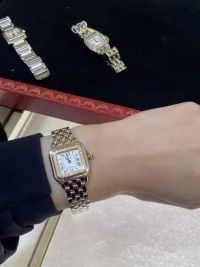 cartier_tryon_panthere.webp