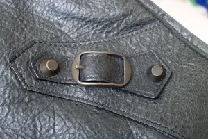 buckle.webp