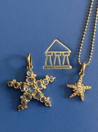 TSC Starfish pair.webp