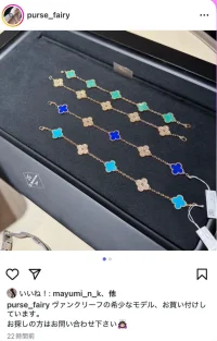 purse fairy IG account.webp