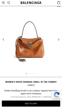 Screenshot_20250807_134840_Chrome.webp