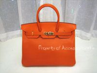 Birkin Secured TPF.jpg