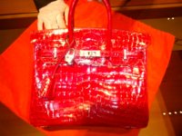 RedCrocBirkin.jpg