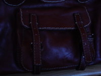 DSC02147.jpg