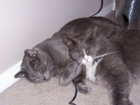 Image00001.jpg