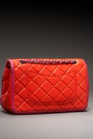 90982_CORAL_4.jpg